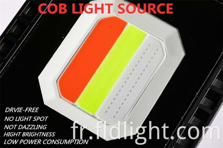  led floodlight for park